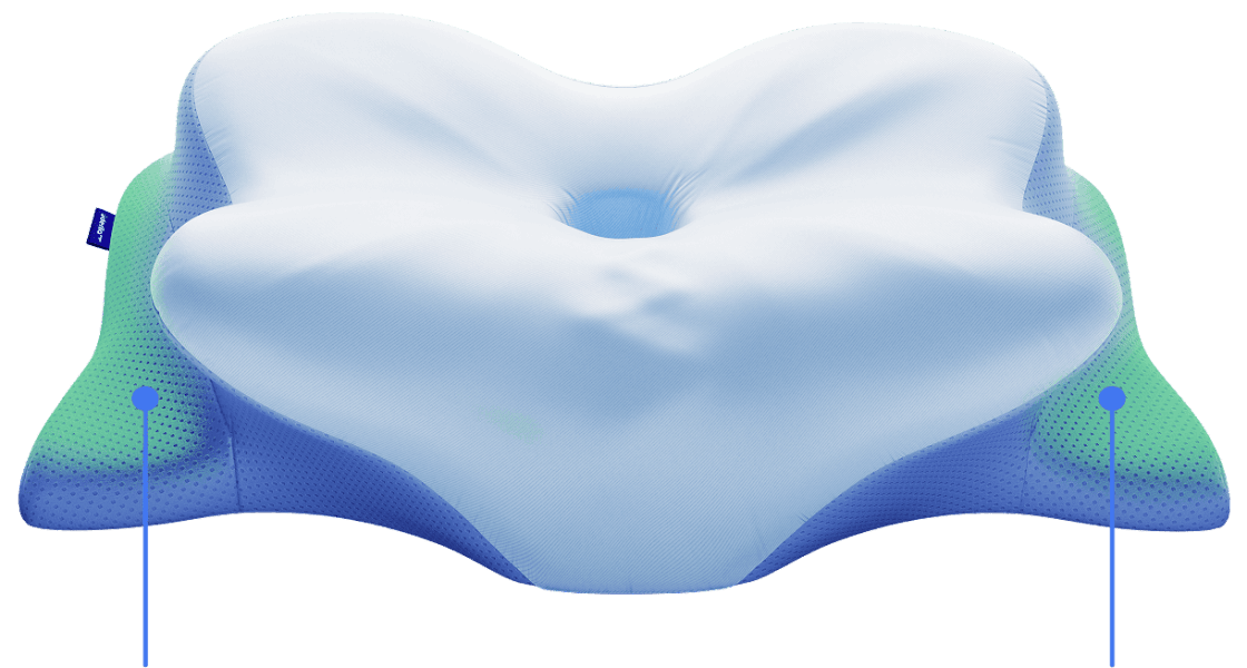 Experience Pain-Free Sleep: The Derila Ergo Pillow for Superior Neck Support